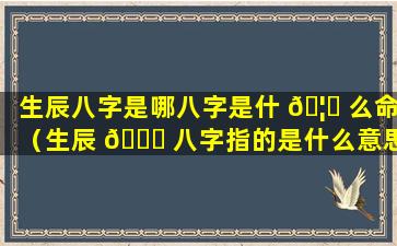 生辰八字是哪八字是什 🦉 么命（生辰 💐 八字指的是什么意思）